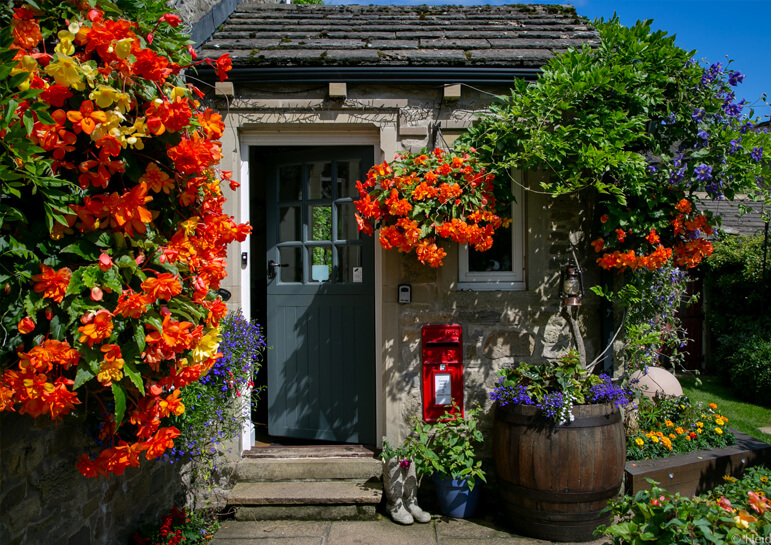 Tucked Away House Gallery 3 - Door surrounded by beautiful plants